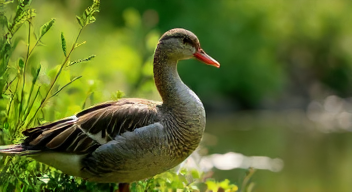 Die Rolle der Lanzenotter im Ökosystem (3/10)