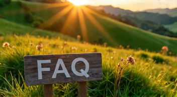 Die 5 meistgestellten Fragen (FAQ) zu der Fasaneninsel
