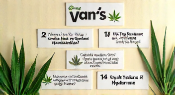 Die 5 meistgestellten Fragen (FAQ) zu Vapes in Mexiko