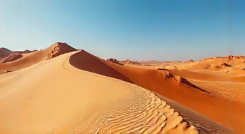 Die 6 häufigsten Fehler bei einem Besuch in der Lieberoser Wüste