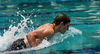 Die 6 häufigsten Fehler bei Haiangriffen