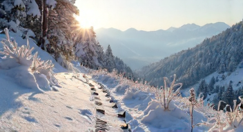 Einfluss der Musik auf Winterreisen (10/10)