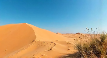 Kulturelle Reflexion der Lieberoser Wüste (9/10)