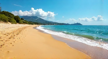 Die Bedeutung von Sandstränden (2/10)